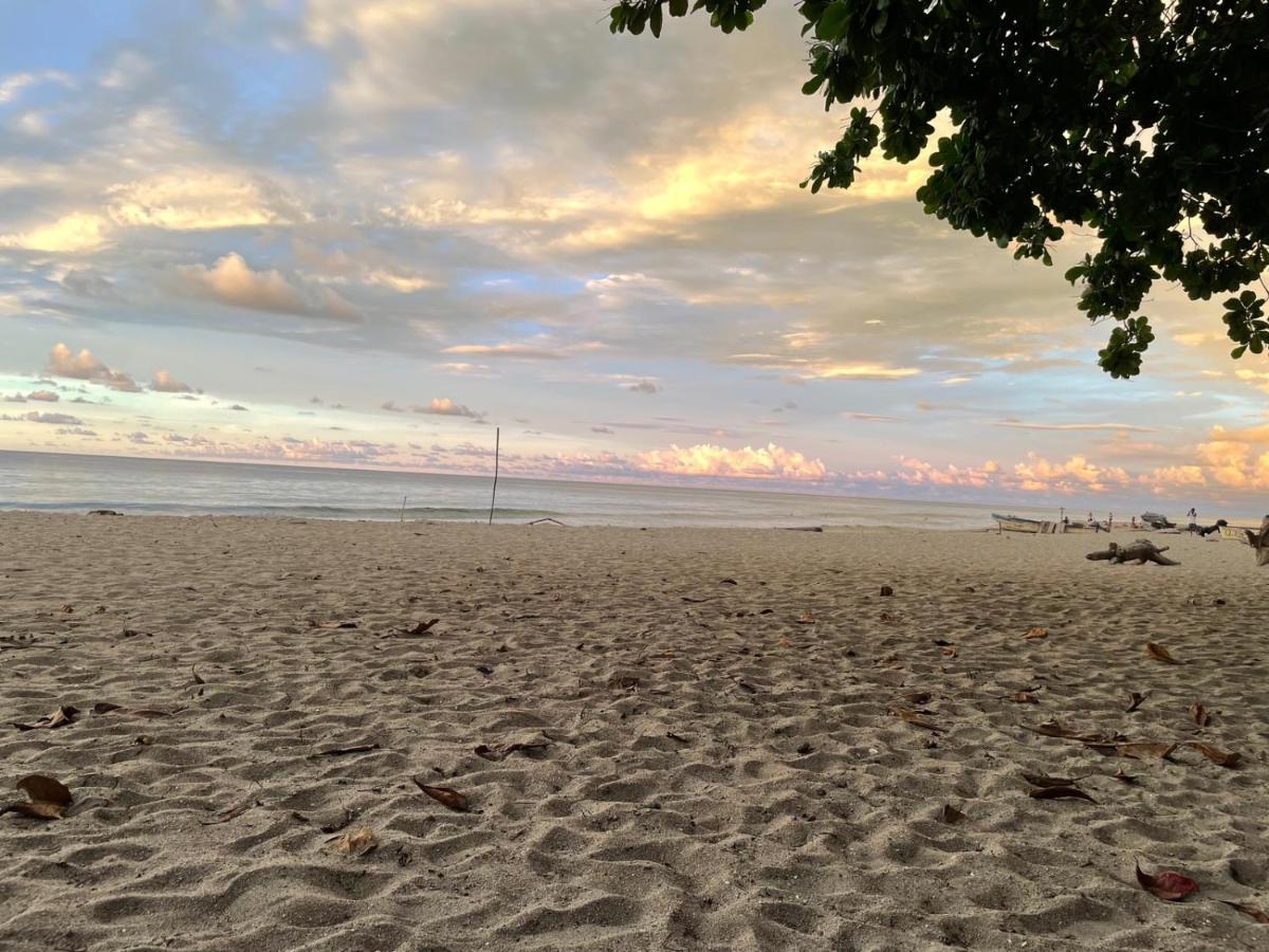 Hostal Estrellas Del Tayrona Playa Mendihuaca Guachaca 외부 사진